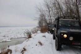 DSC_0441.jpg