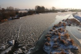 DSC_1344.jpg