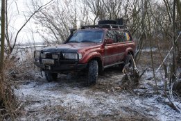 DSC_1377.jpg
