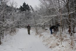 DSC_1404.jpg