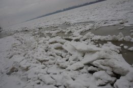 DSC_1440.jpg