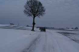 PICT8964.jpg