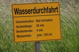 DSC_0169.jpg