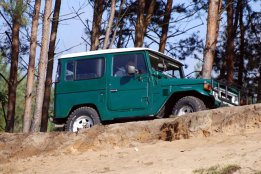 DSC_2381.jpg