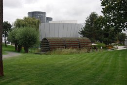 DSC_0580.jpg