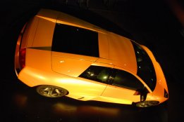 DSC_0584.jpg
