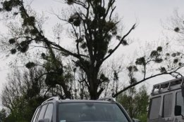 zzz201005231925261.jpg