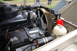 DSC_4332.jpg