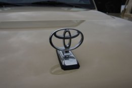DSC_4369.jpg