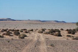 DSC_0046.jpg