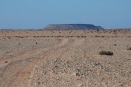 DSC_0048.jpg
