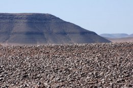 DSC_0060.jpg
