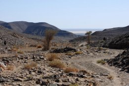 DSC_0110.jpg