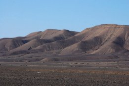 DSC_0130.jpg