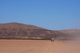 DSC_0137.jpg