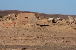 DSC_0180.jpg