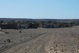 DSC_0183.jpg