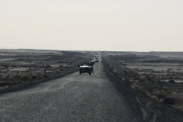 DSC_0186.jpg