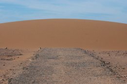 DSC_0209.jpg