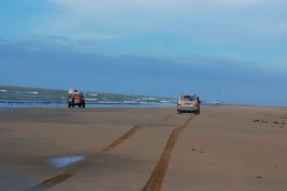 DSC_0252.jpg