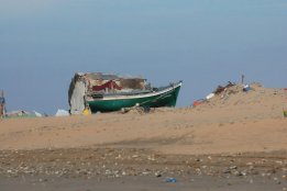 DSC_0260.jpg