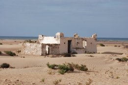 DSC_0284.jpg