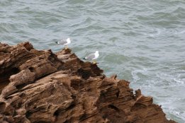 DSC_0348.jpg