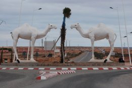 DSC_0390.jpg