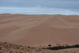 DSC_0394.jpg