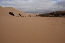 DSC_0403.jpg