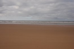 DSC_0409.jpg