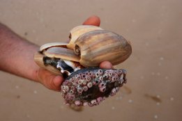 DSC_0415.jpg