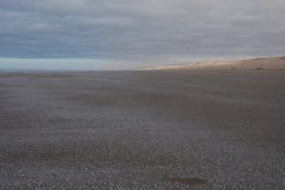 DSC_0424.jpg