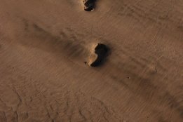 DSC_0453.jpg