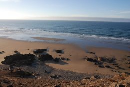 DSC_0476.jpg