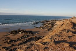 DSC_0478.jpg