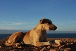 DSC_0502.jpg