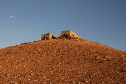 DSC_0504.jpg