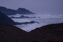 DSC_0514.jpg
