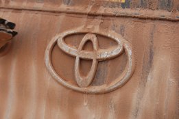 DSC_0542.jpg