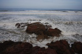 DSC_0609.jpg