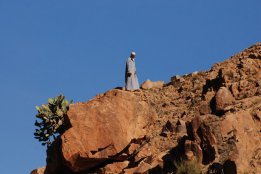 DSC_0767.jpg