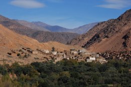 DSC_0773.jpg