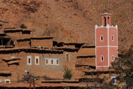 DSC_0779.jpg
