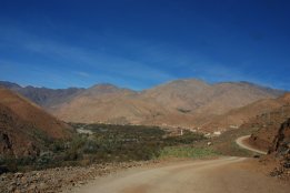 DSC_0924.jpg