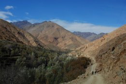 DSC_0929.jpg
