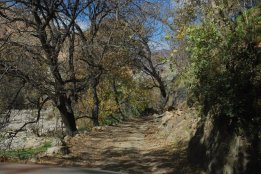DSC_0933.jpg