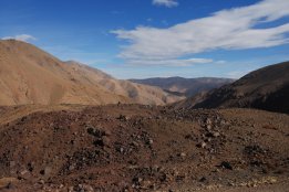 DSC_0965.jpg