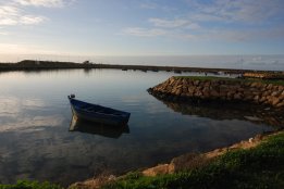 DSC_1128.jpg