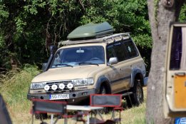 DSC_1131.jpg